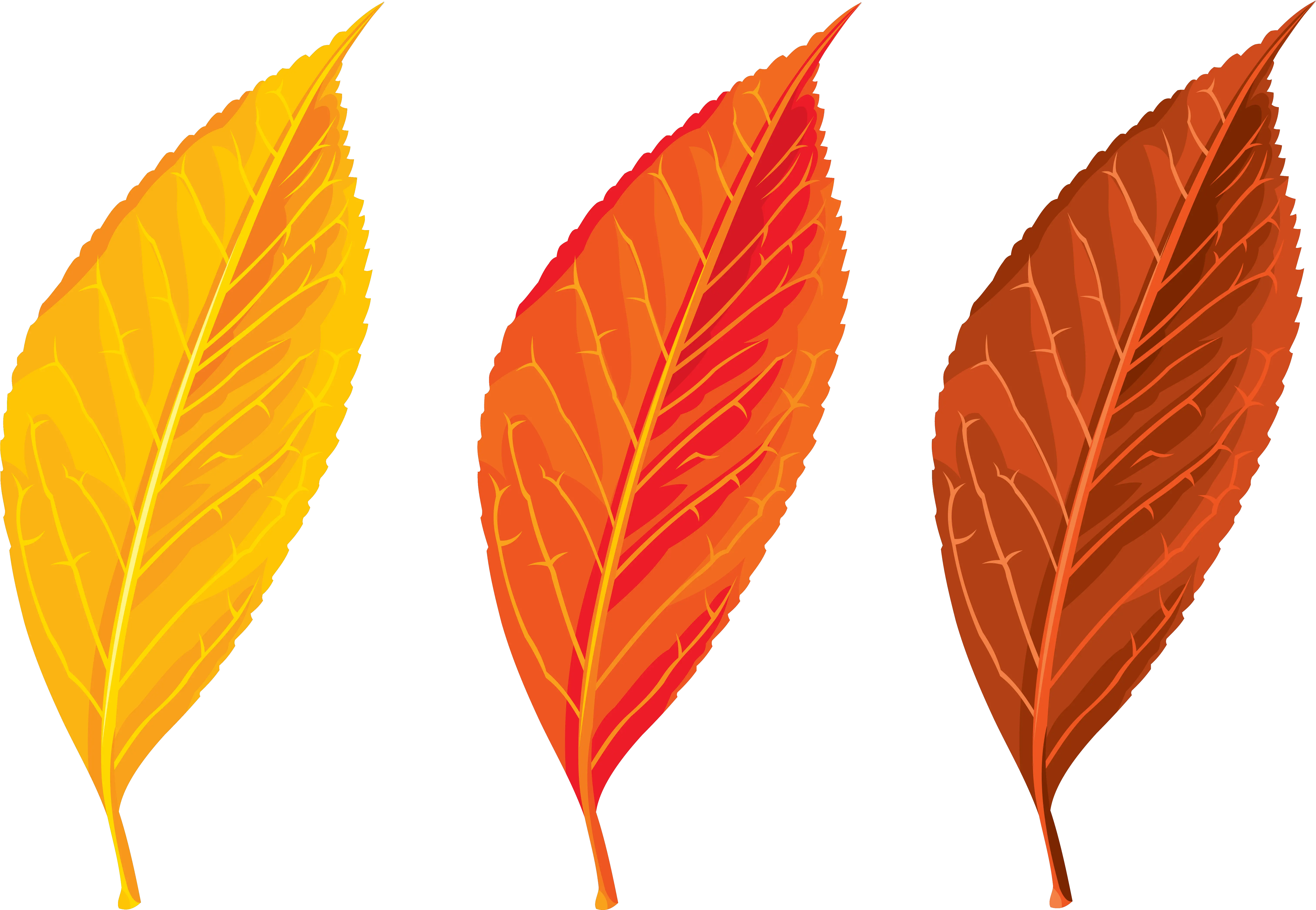 Transparent Seasons U0026 Png Clipart Free Download Autumn Leaf Clipart Png Leaves Clipart Png