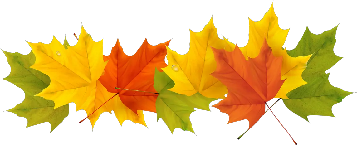 Transparent Leaf Clip Art Clear Background Fall Leaves Clipart Png Autumn Leaf Png