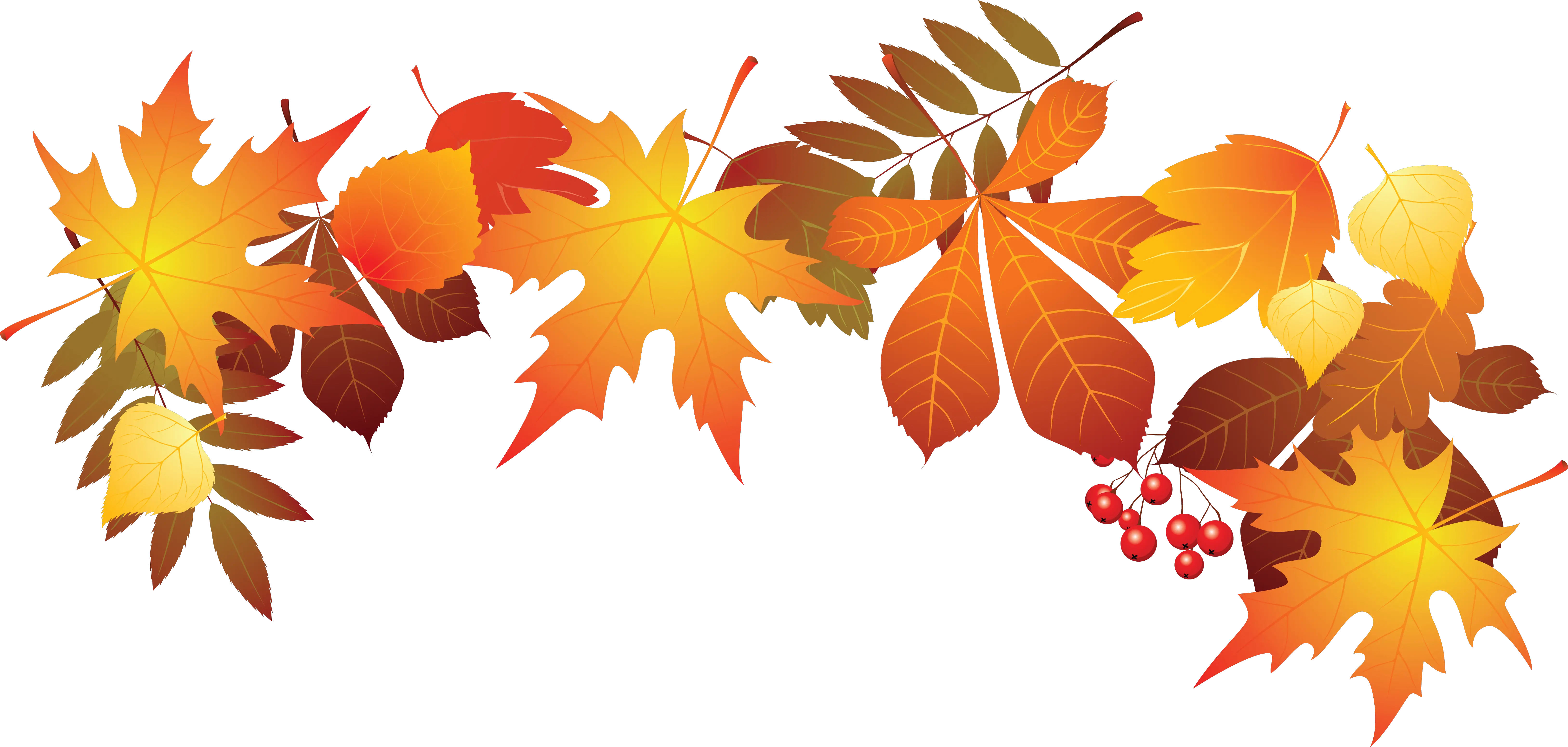 Download World Teachers Day Leaf Autumn Transparent Transparent Background Autumn Leaf Png Fall Leaf Transparent