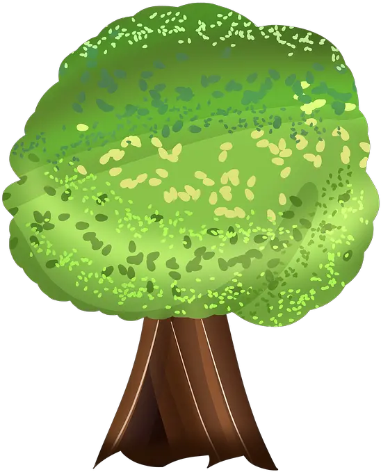 Tree Big Trees Forest Illustration Png Big Tree Png