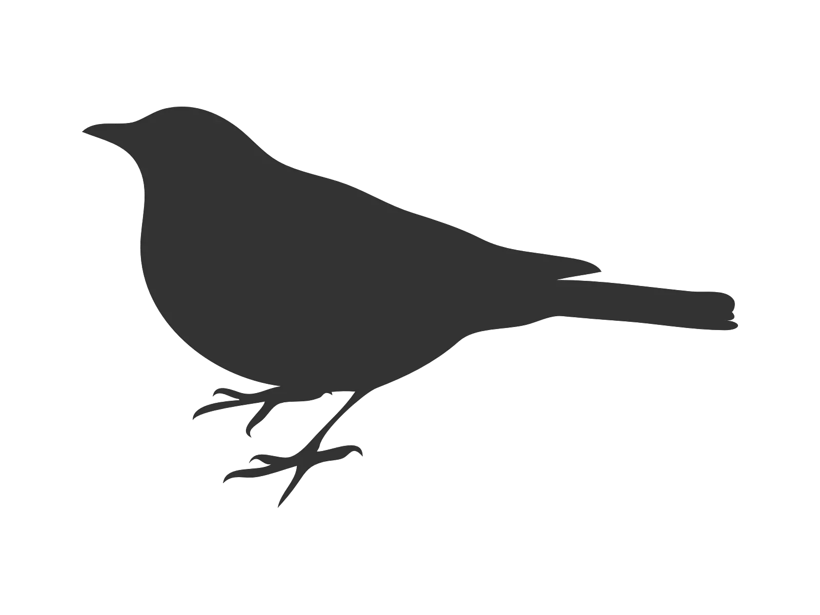 Bird Grey Crow Free Vector Graphic On Pixabay Bird Silhouette Clip Art Png Raven Silhouette Png