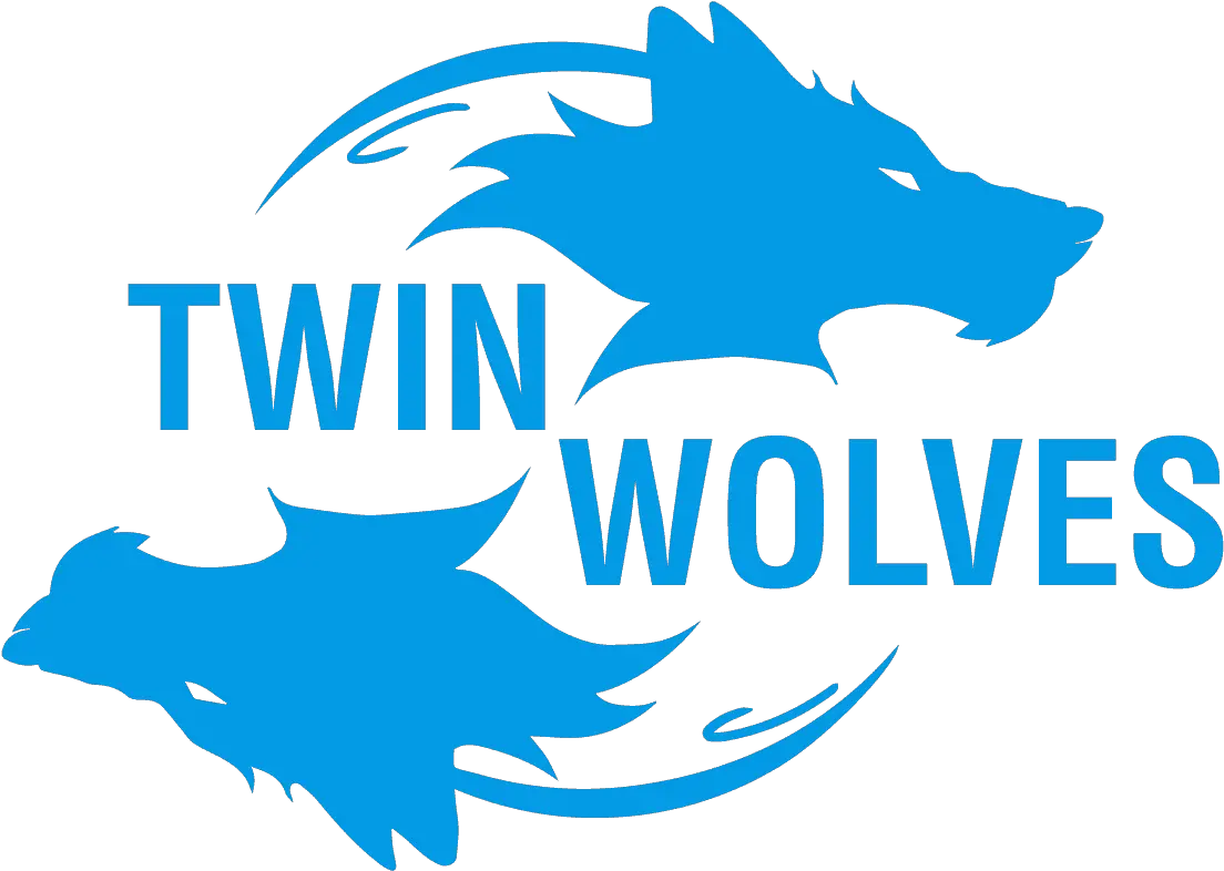 Twin Wolves Studio Indie Video Games Development Studio Twin Wolf Logo Png Wolf Logo