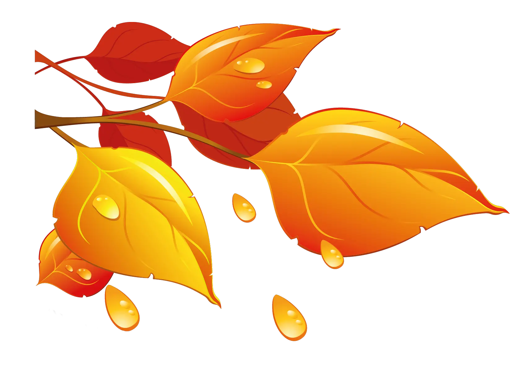 Transparent Autumn Leaves Png Clipart Fall Leaves Clipart Transparent Autumn Leaf Background Autumn Leaves Transparent