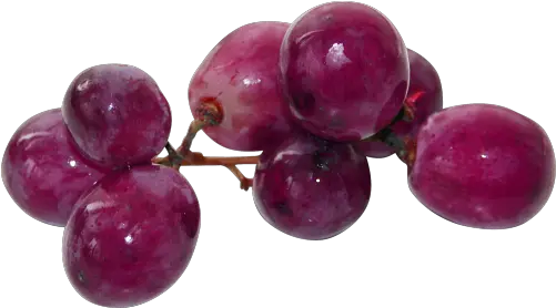 Yebbi Gongju Autumn Night Fruit Summer Romance Grapes Png Spit Png