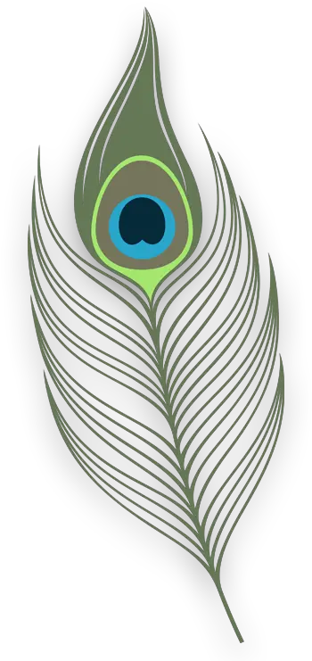 Creating The Space That Represents You Png Peacock Feather Icon