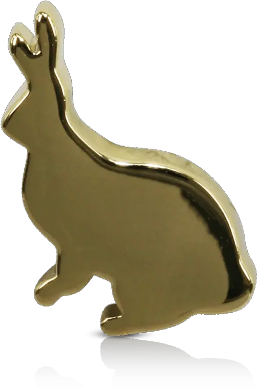 Rabbit Rabbit Png Rabbit Transparent