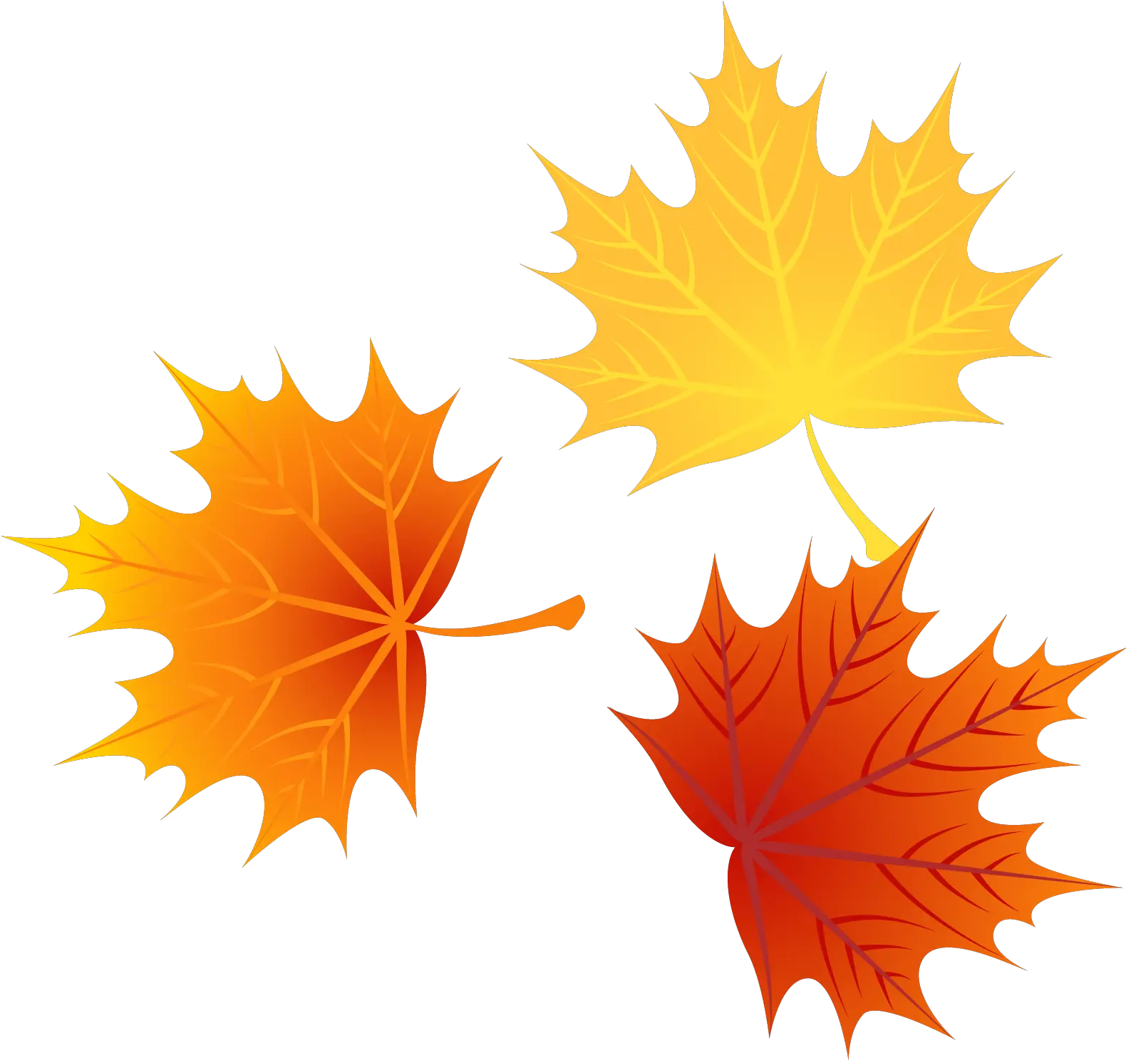 Download Autumn Euclidean Leaves Vector Leaf Png Image High Autumn Leaf Vector Png Leaves Clipart Png