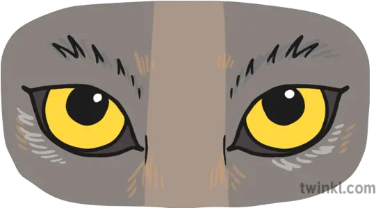 Wolf Eyes Illustration Twinkl Cartoon Wolf Eyes Drawing Png Cartoon Eye Png