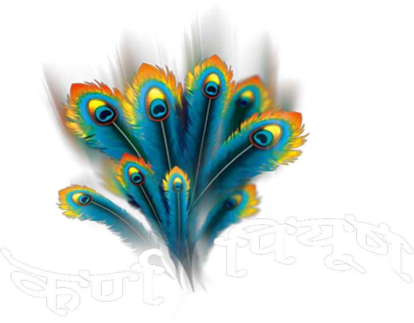 Download Krishanpreet Com Logo Peacock Feather Png Full Peacock Feather Png Feather Png