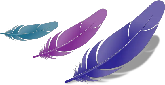 Free Download Bird Feather Png Fascinating Feathers 572x294 Bird Feather Peacock Feather Png