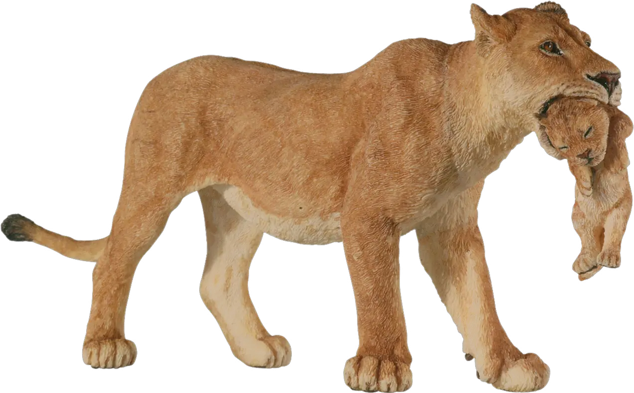 Hd Lioness Png Transparent Image Lion With Long Neck Lioness Png