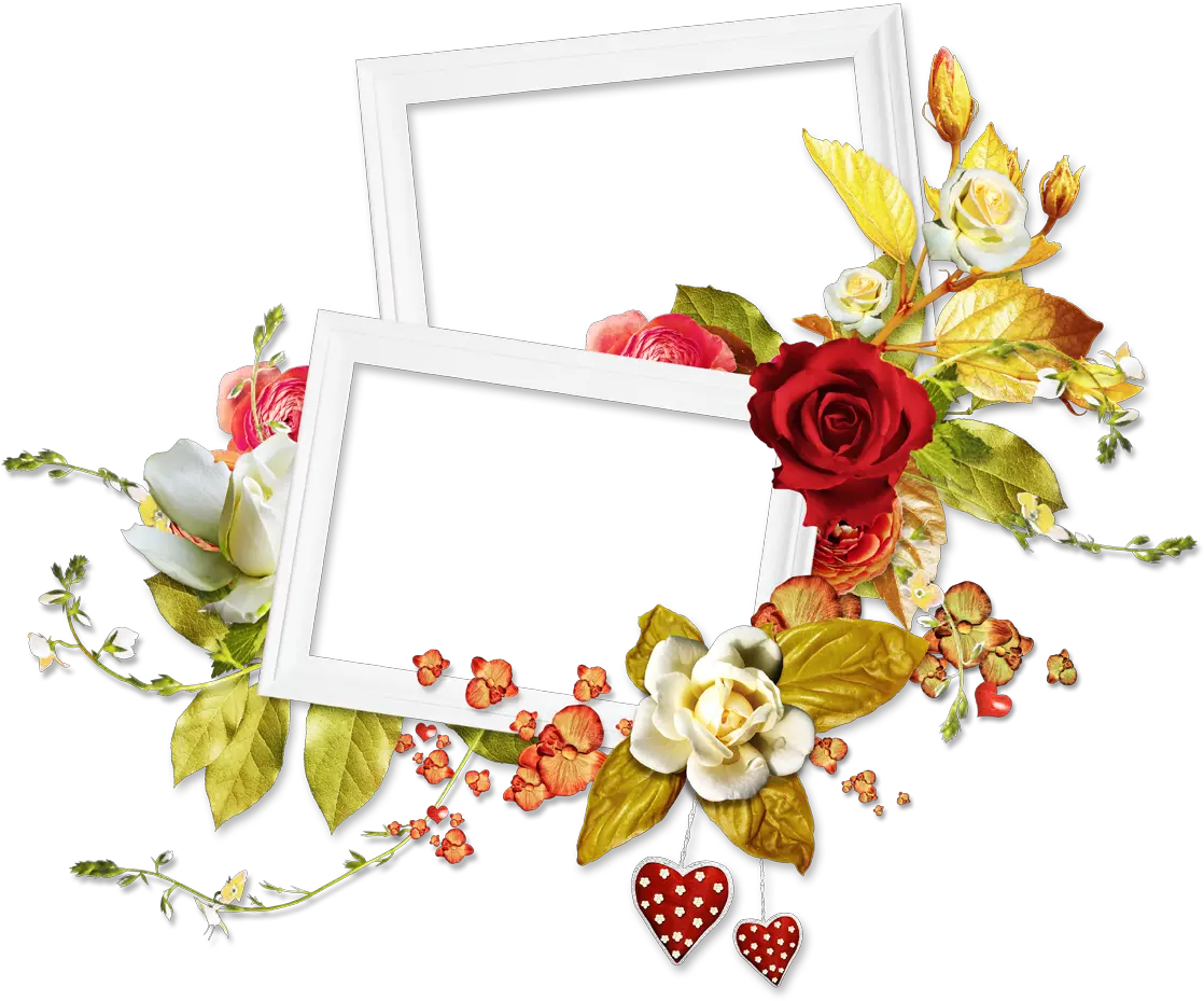 Rose Flower Frame Png Two Flower Frame Png Floral Frame Png