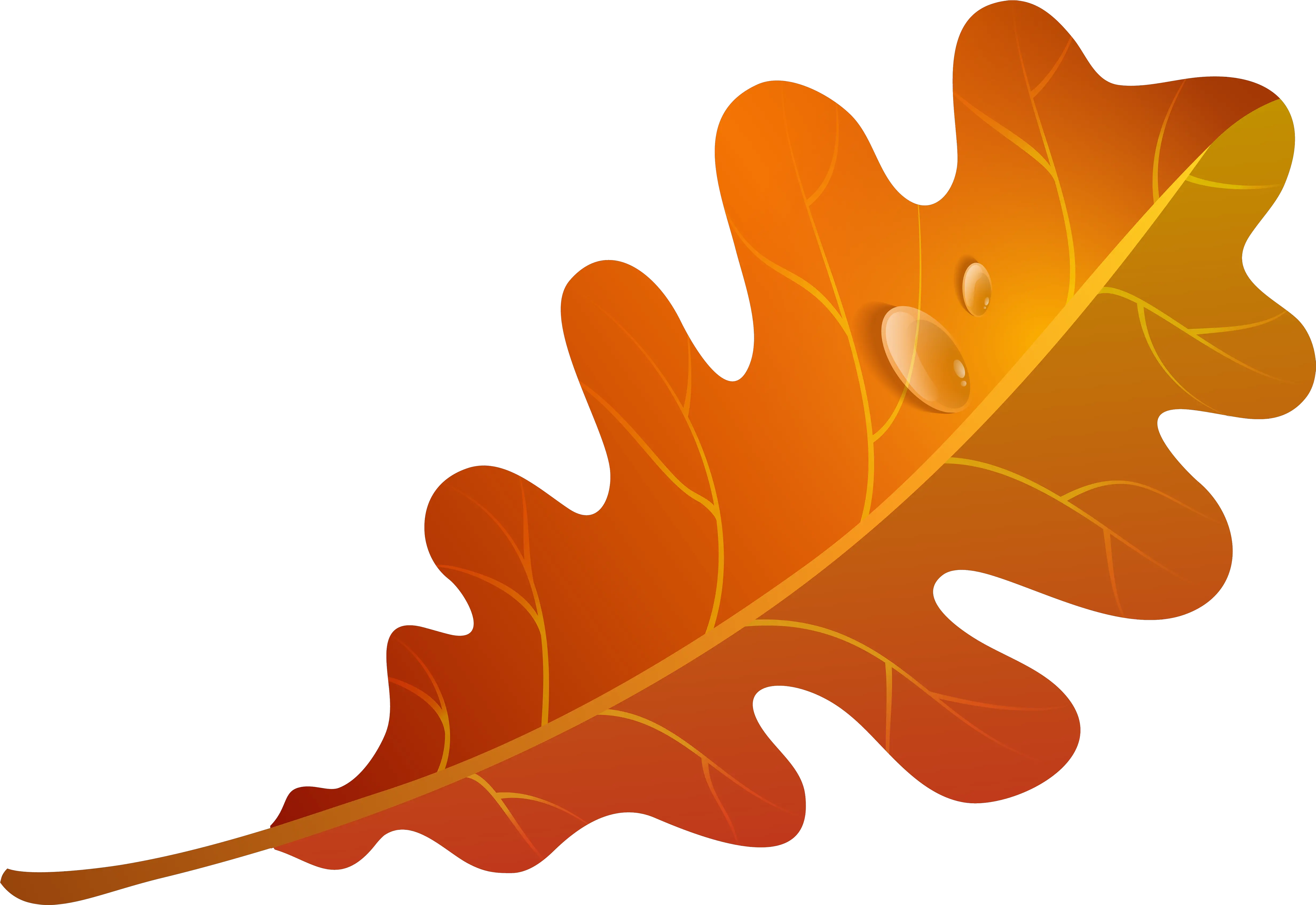 Falling Leaves Clipart Free Download Autumn Oak Leaves Clipart Png Autumn Leaves Png