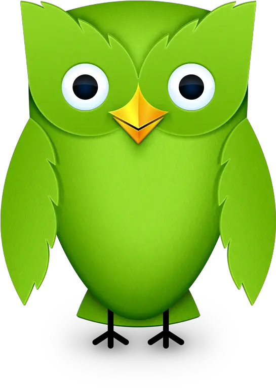 Duo Duolingo Owl 2012 Png Barn Owl Icon