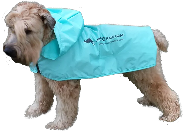 Funny Dog Products Roo Rain Gear Dogs Wearing Ponchos Png Funny Dog Png