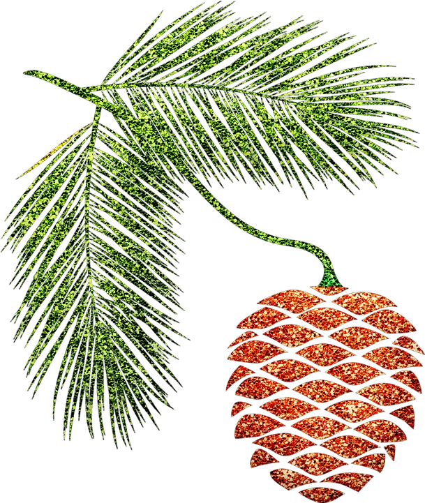 Pine Cone Branches Autumn Pine Png Pine Branch Png