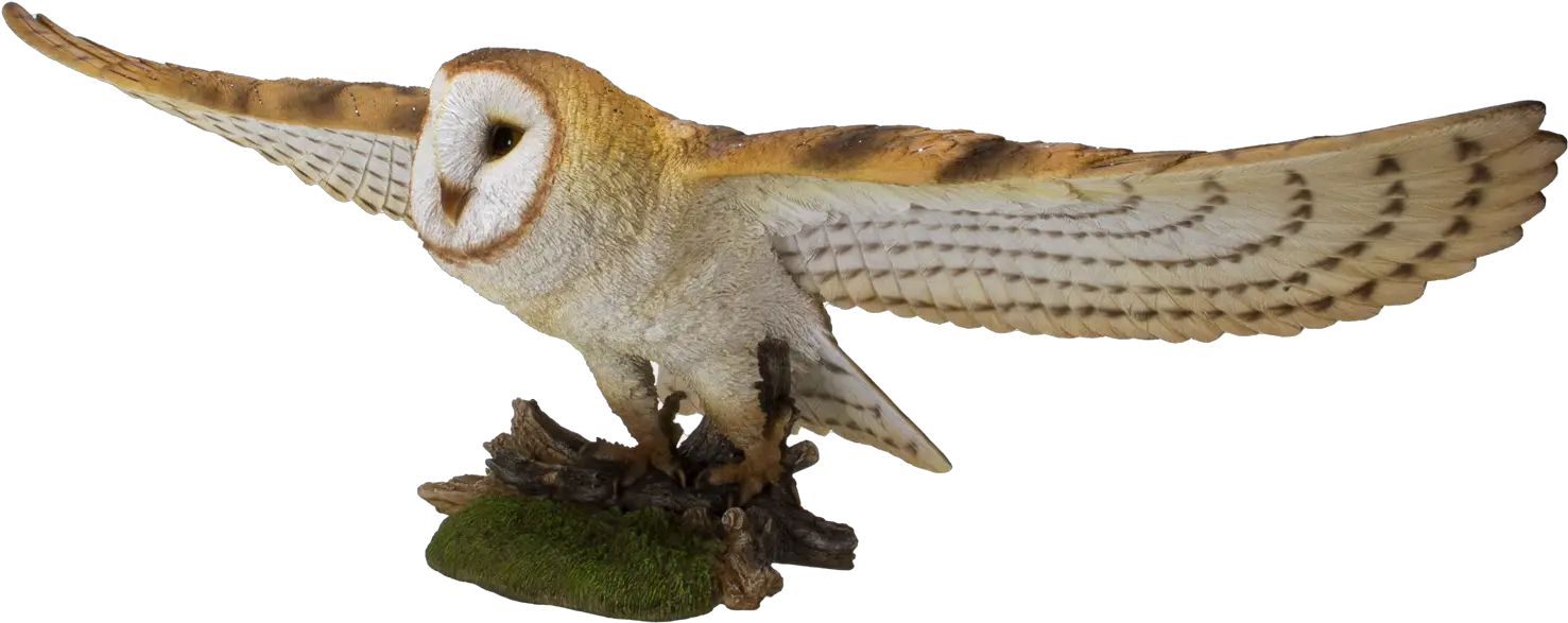 Animal World Flying Open Wing Barn Owl Barn Owl Png Barn Owl Icon