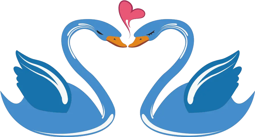 Swan Love Cartoon Swan Heart Png 1000x1000 Png Clipart Swans Cartoon Heart Cartoon Png