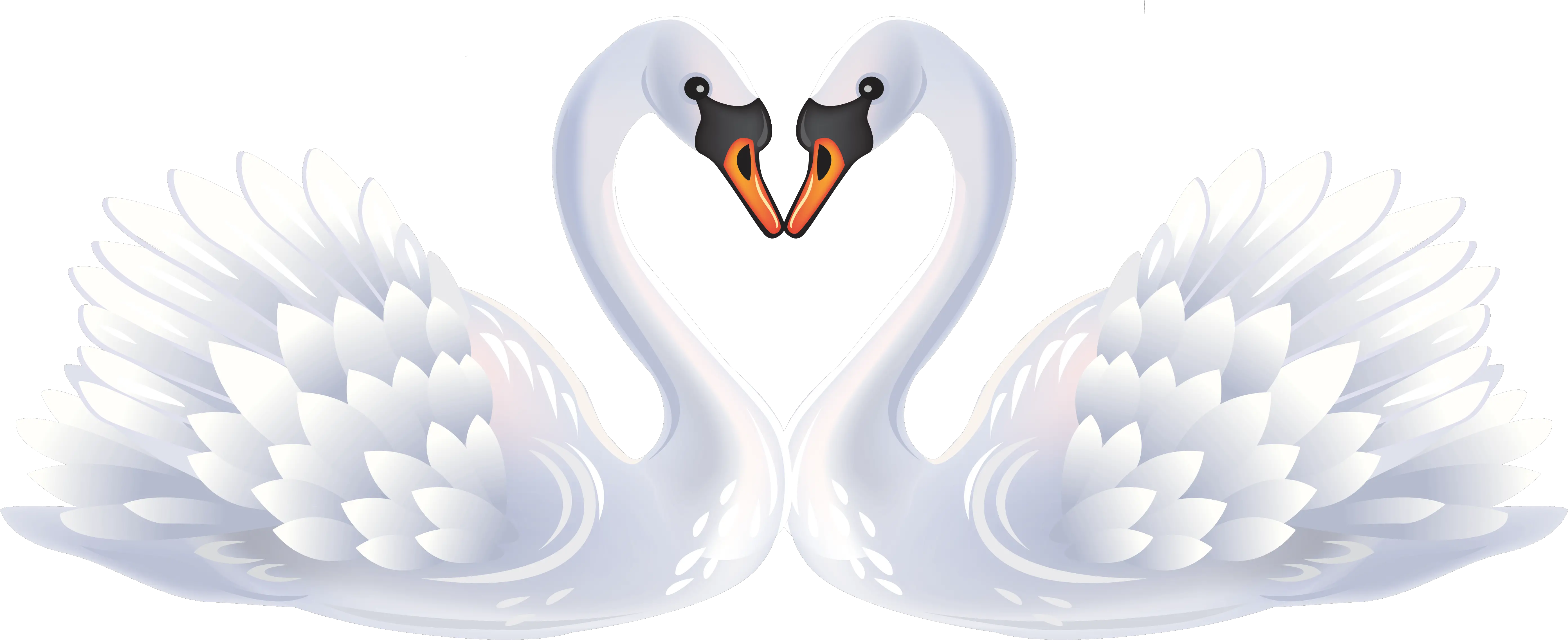 Library Of Swan Heart Jpg Black And White Swans Png Swan Png