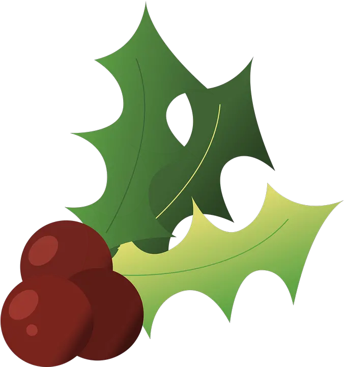 Holly Christmas Winter Free Image On Pixabay Hulst Transparent Png Christmas Holly Png