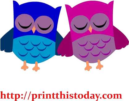 Cute Owl Couple Clip Art Cute Owl Couple Clipart Full Soft Png Ovo Owl Png