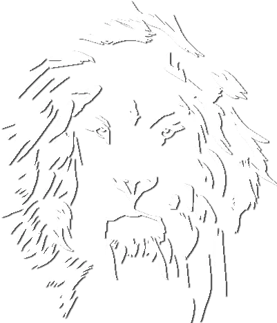 Lion Logowhiteshadow Shadow Lion Logo Png Lion Logo Png