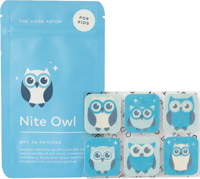 Nite Owl The Good Patch Nite Owl Patches Png Night Owl Icon