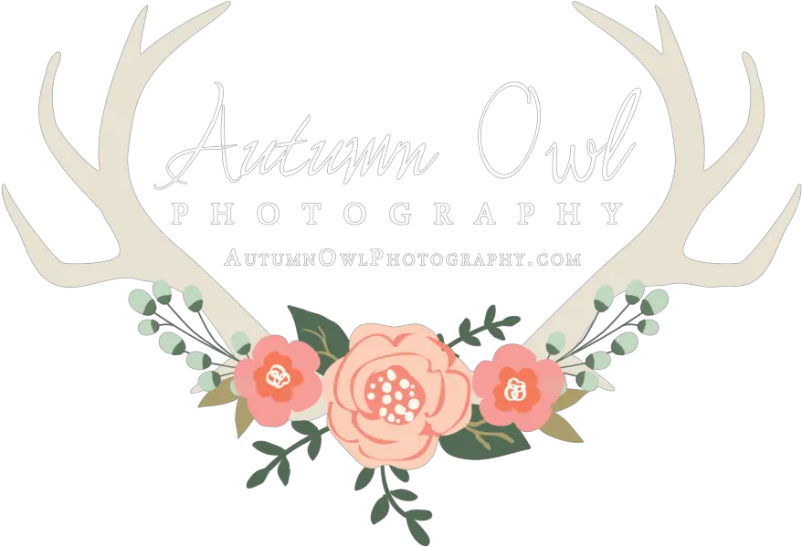 Autumn Owl Photography Clip Art Png Reindeer Antlers Transparent Background