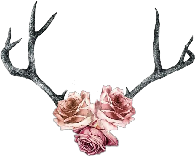 Deer Antlers Silhouette Png Rose Roses Antlers Pink Deer Antler With Flowers Tattoo Antlers Png