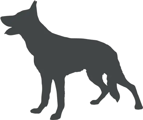 Transparent Png Svg Vector File Transparent Background Dog Silhouette Png Cachorro Png