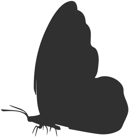 Butterfly Side View Silhouette Transparent Png U0026 Svg Butterfly Side View Vector Butterfly Transparent