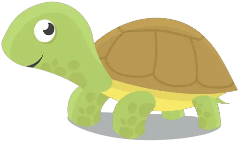 Cartoon Turtle Transparent Png Tortuga Png Cute Turtle Png