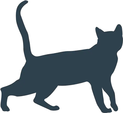 Cat Walking Silhouette Transparent Png U0026 Svg Vector File Transparent Walking Cat Silhouette Dog And Cat Png