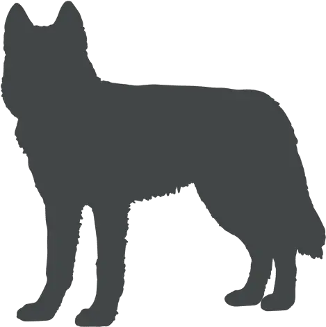 Dog Silhouette Posing Ears Up Transparent Png U0026 Svg Vector Vector Dog Silhouette Png Cat Ears Transparent