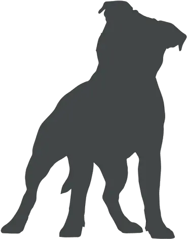 Transparent Png Svg Vector File Siluetas De Perros Pitbull Dog Silhouette Transparent Background