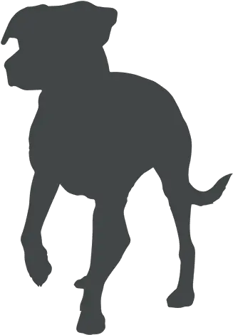 Transparent Png Svg Vector File Transparent Pitbull Silhouette Dog Silhouette Transparent Background